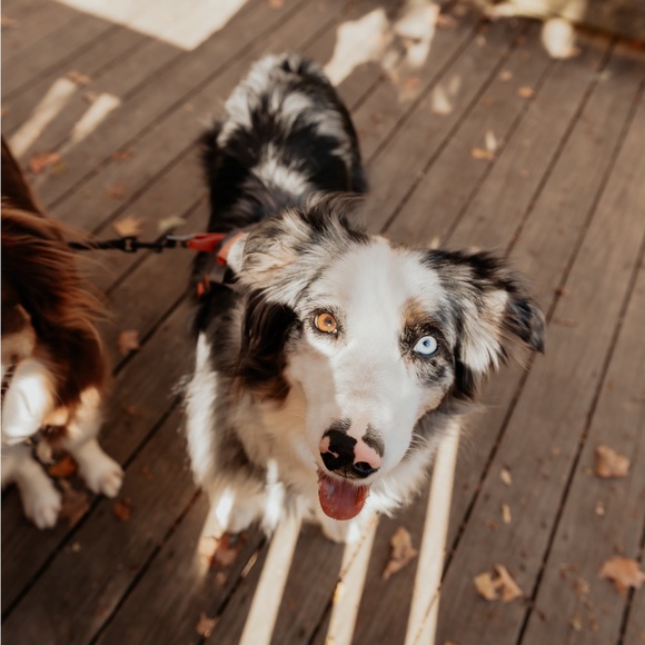 Meet LoMeinLauryn ✨🥰🫶🌱🪩🤠🩵 - Picture 5 of 6